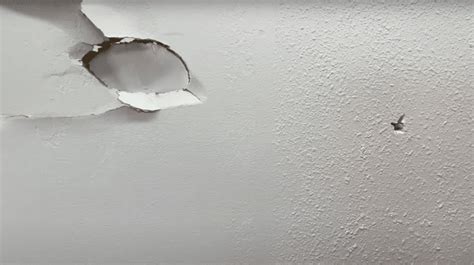 Scratching in walls. Things To Know About Scratching in walls. 
